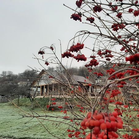 Hotel Гостьовий Дім На Герцена Guest Hous On Gertsena Novhorod-Siverskyi Exteriér fotografie
