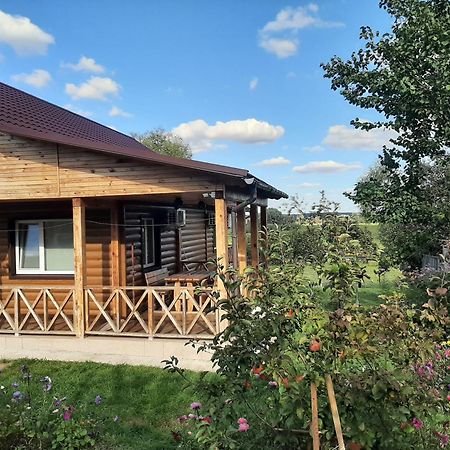 Hotel Гостьовий Дім На Герцена Guest Hous On Gertsena Novhorod-Siverskyi Pokoj fotografie