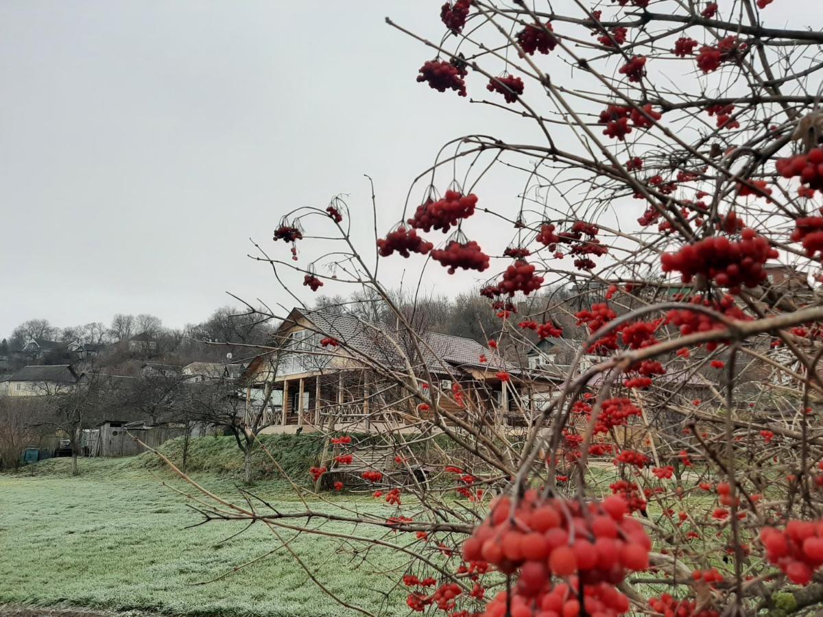 Hotel Гостьовий Дім На Герцена Guest Hous On Gertsena Novhorod-Siverskyi Exteriér fotografie